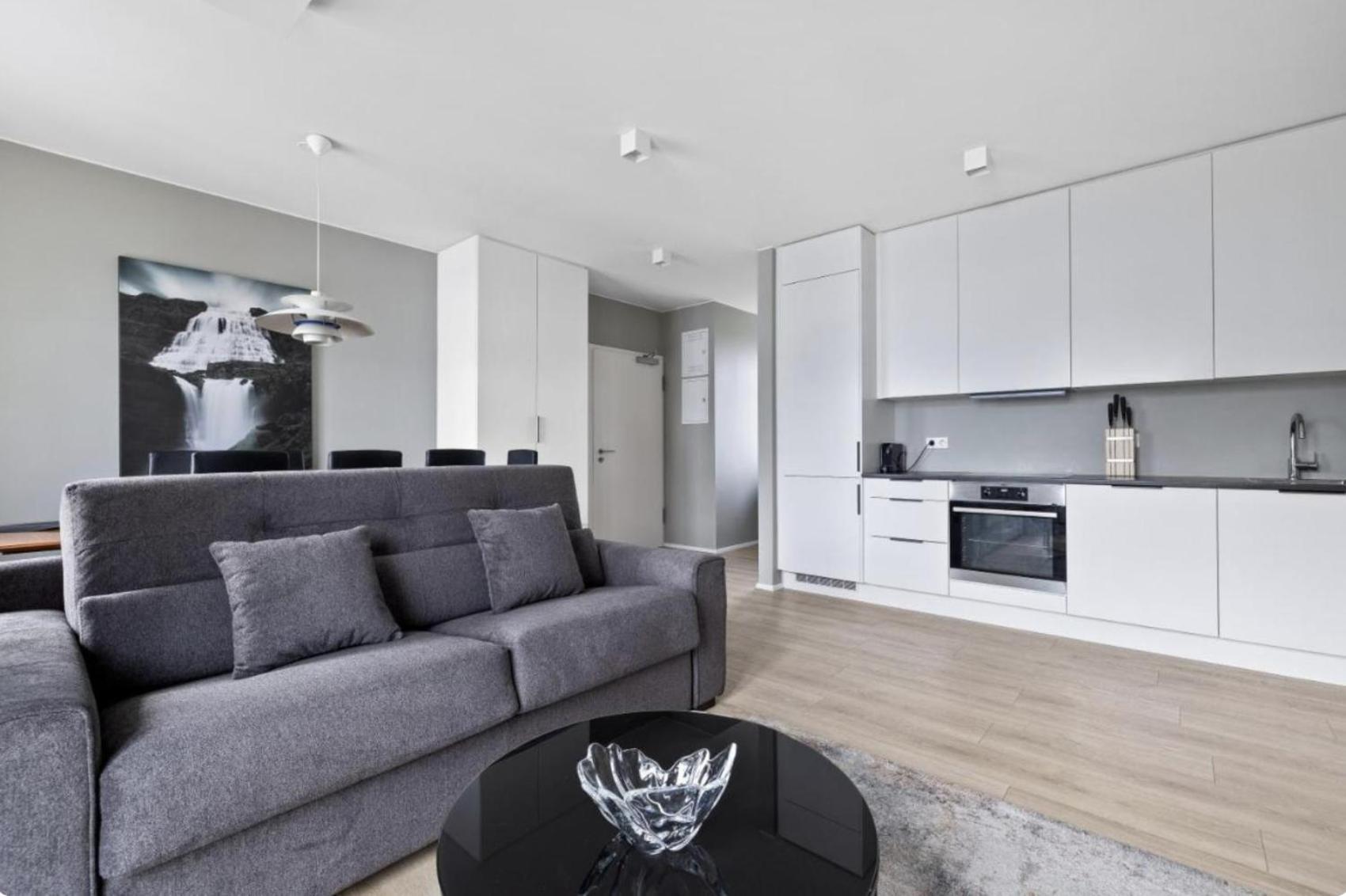 Cheerful Down Town Apartment Reikiavik Exterior foto